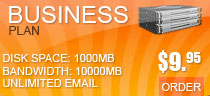 Business Hosting Plan